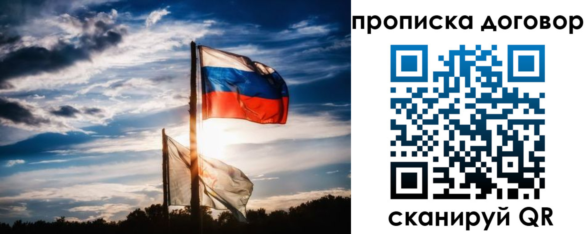 временная регистрация гарантия в Оленегорске